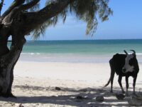 Plage de Ramena, Madagascar