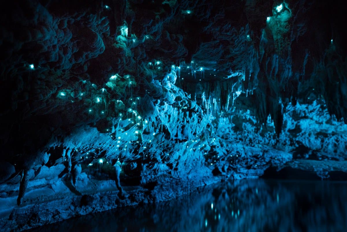 Grottes de Waitomo, vers luisants, Nouvelle-Zélande