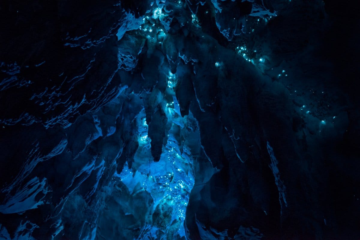 Grottes de Waitomo, vers luisants, Nouvelle-Zélande