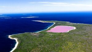 Le lac Hillier en Australie possède une étonnante particularité, il est rose