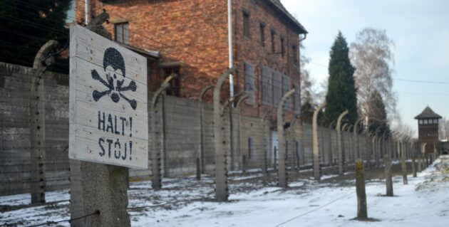 Auschwitz, visite, billet