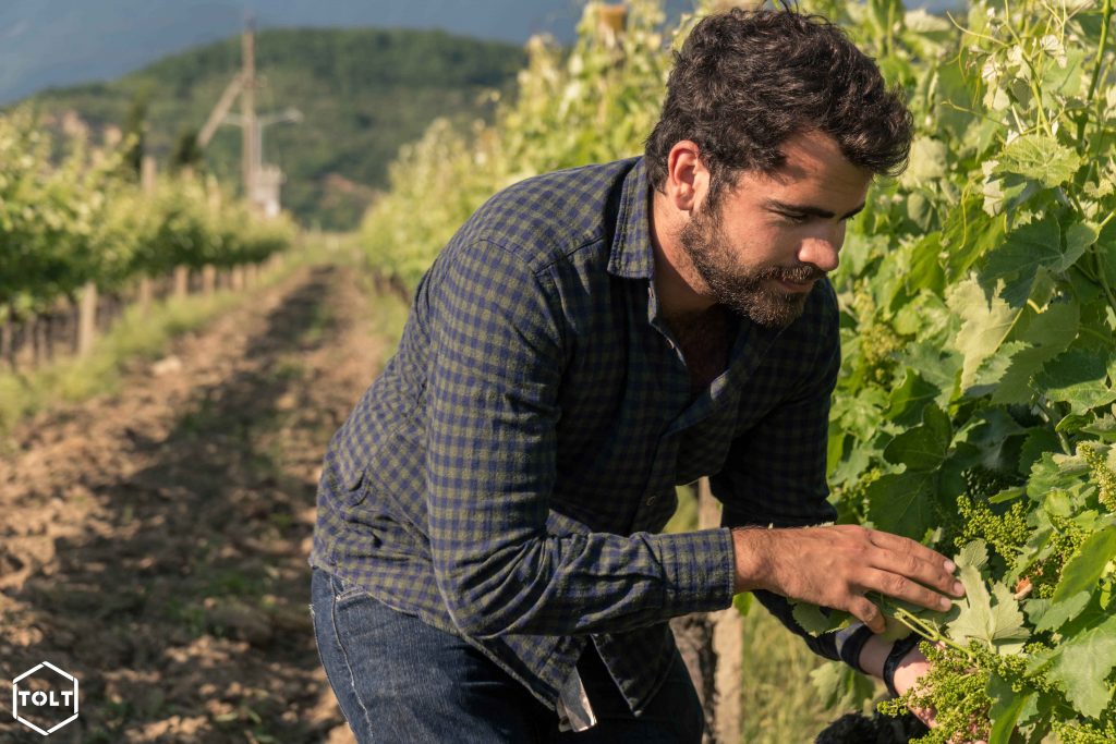 Paolo, grand passionné de viticulture 