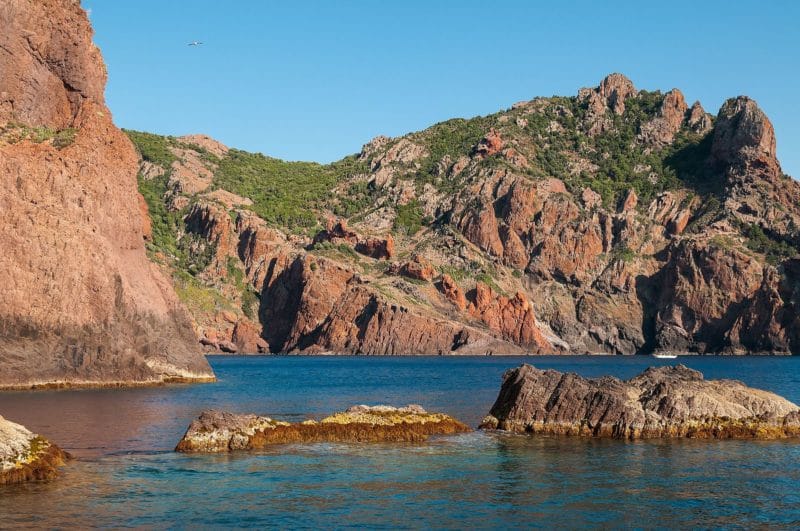 Réserve naturelle de Scandola, Corse