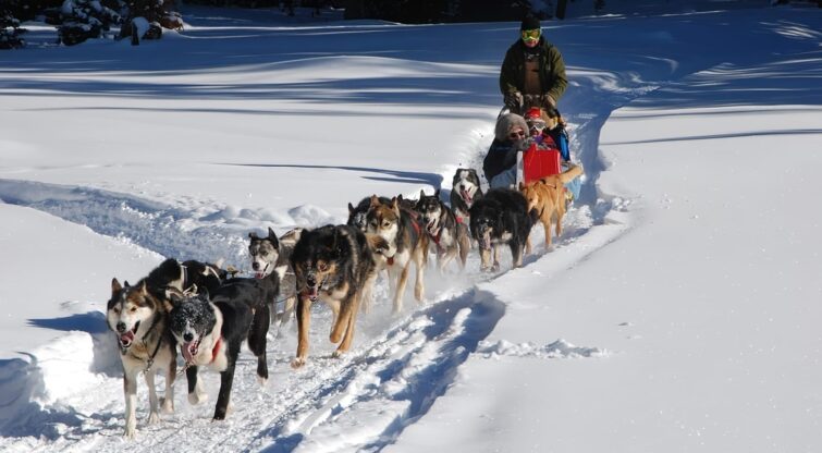 Activités en hiver au Canada