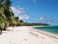 Vol Guadeloupe et Martinique