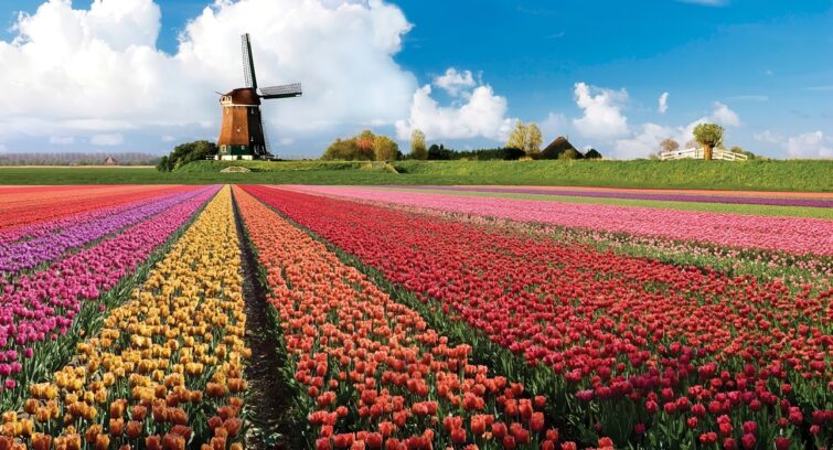 Visiter Keukenhof