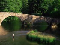 Pêcher en Auvergne