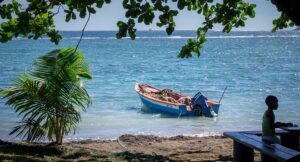 Martinique : guide pour un premier voyage sur l’île aux fleurs