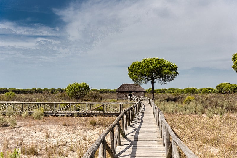 Parc National de Doñana, visiter l'Andalousie