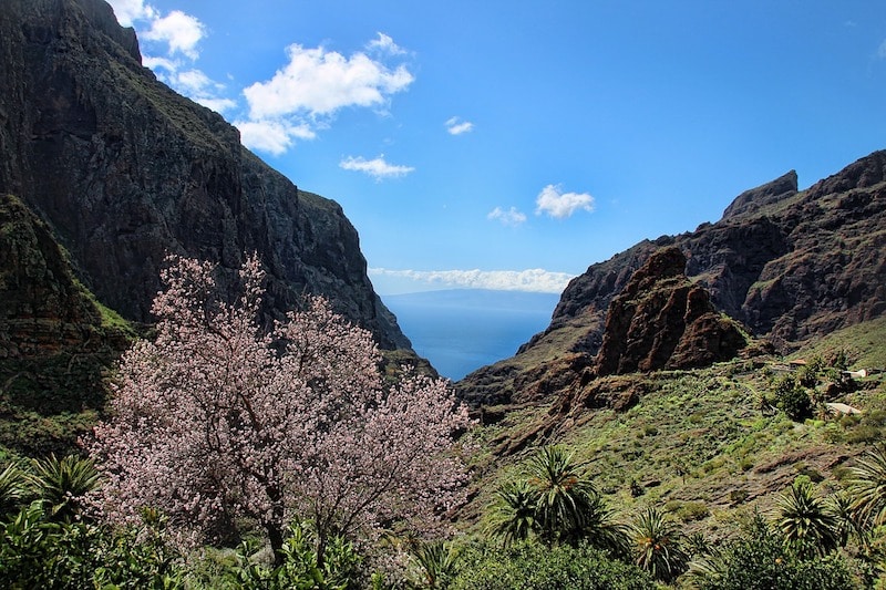 Les 10 choses à faire à Tenerife