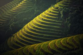 Paysage pittoresque du Vietnam avec montagnes et vallée verdoyante