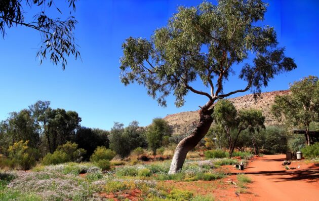 Dans quel quartier loger à Alice Springs ?