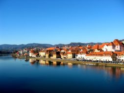 vue pittoresque sur la ville de Maribor avec des toits traditionnels et des arbres