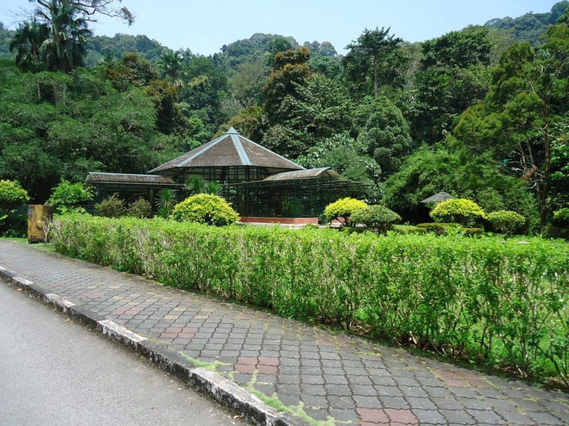 Jardin Botanique, Penang