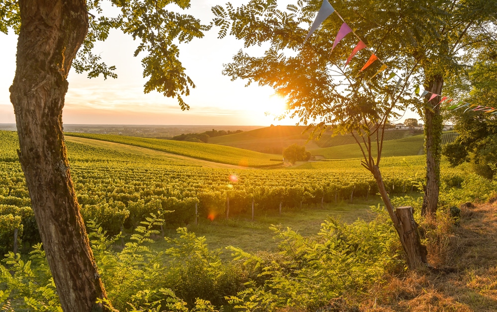 Les 10 choses incontournables à faire à Bordeaux