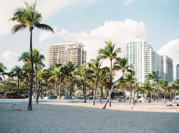 vue sur les bâtiments modernes de Miami avec ciel bleu en arrière-plan