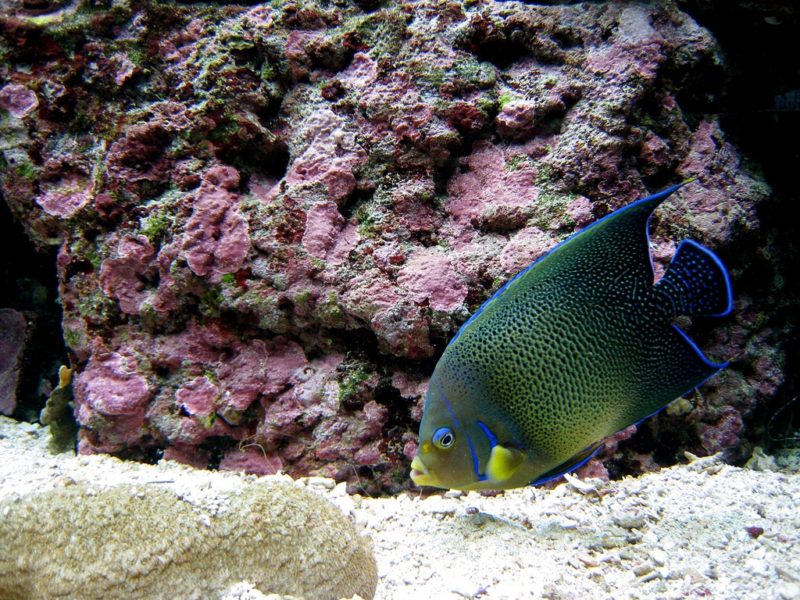 Les 7 choses incontournables à faire en NouvelleCalédonie