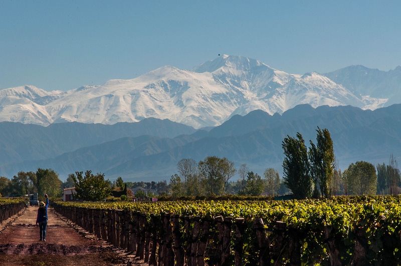 Bodegas, vignoble dans les Andes, Mendoza