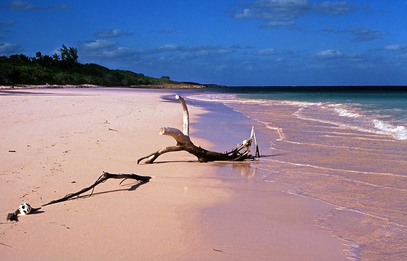 Pink Sands Beach, Harbour Island, Bahamas