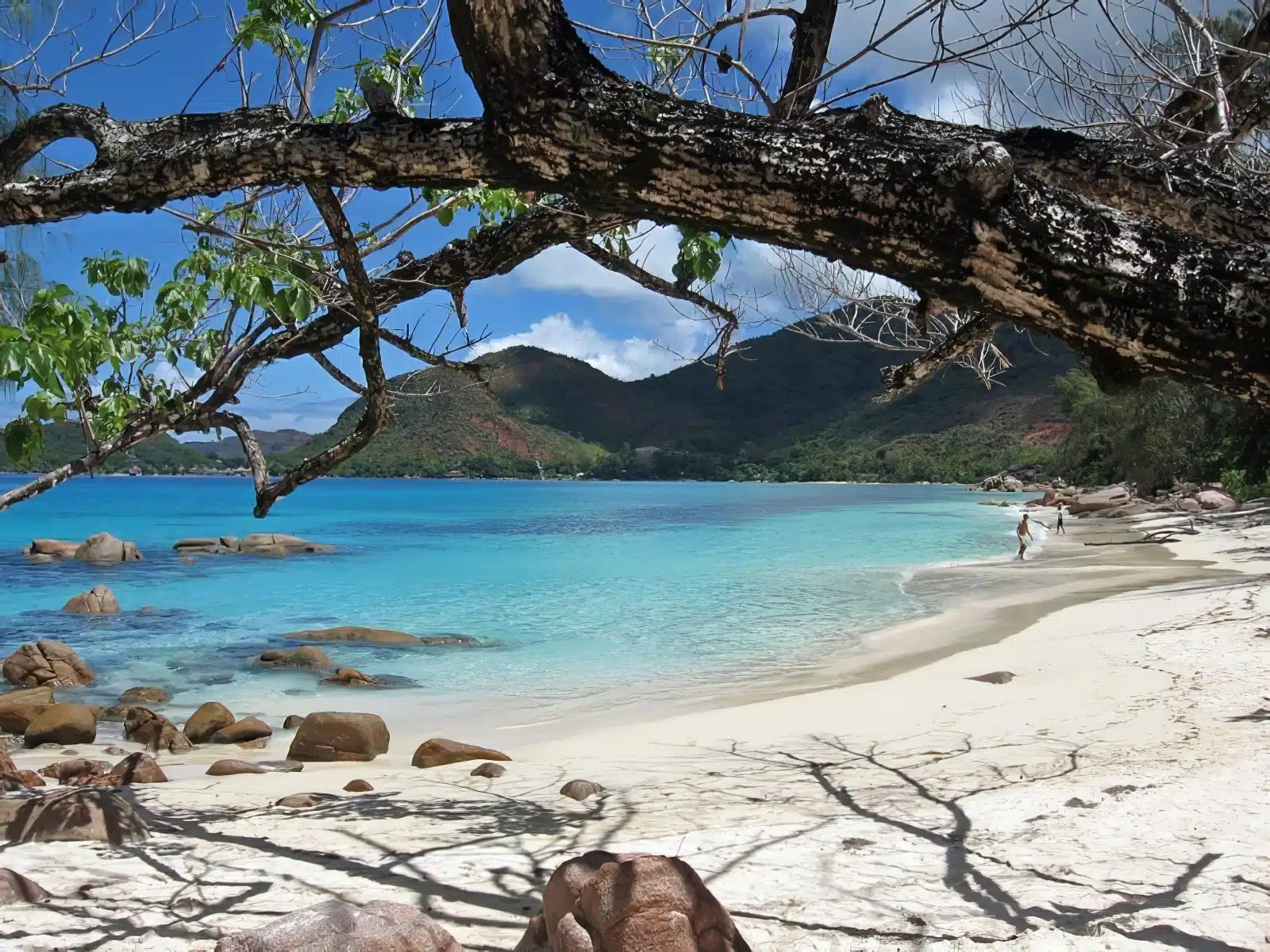 Discover the 10 most beautiful places to visit in the Seychelles