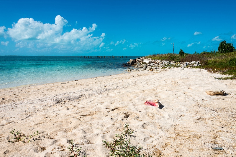 Plage Shelly Beach, Bahamas