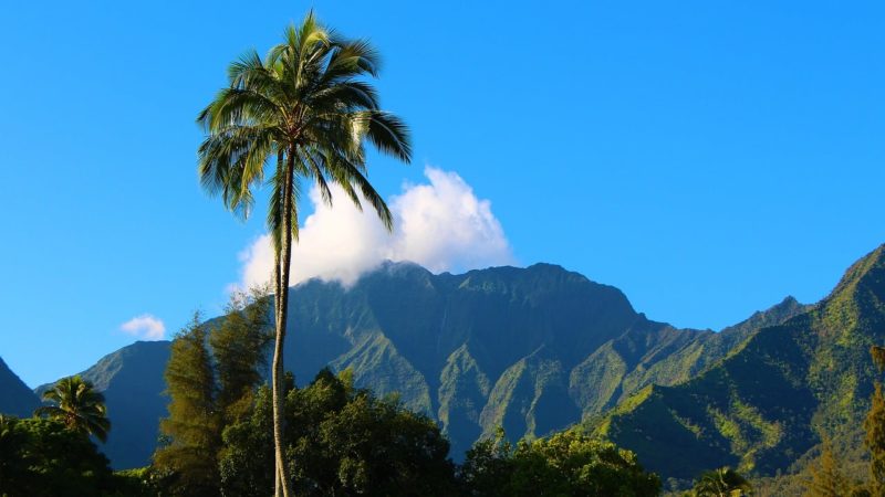 Isola di Kauai, Hawaii