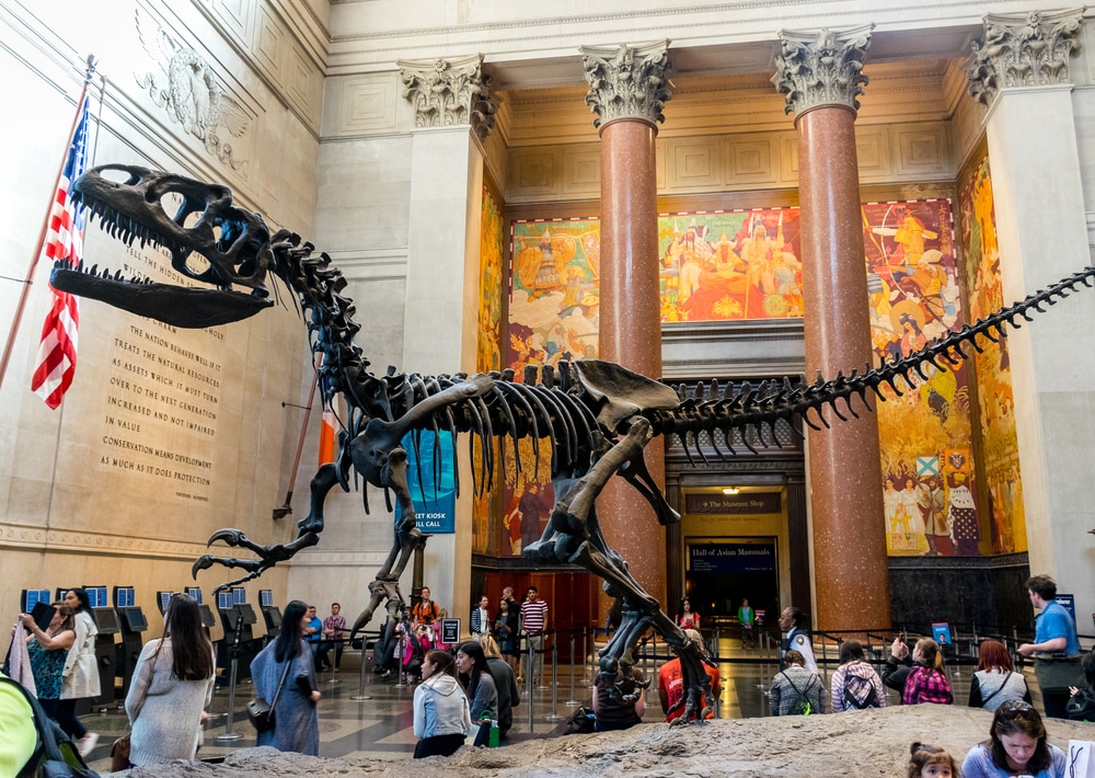 Musée américain d'histoire naturelle, New York