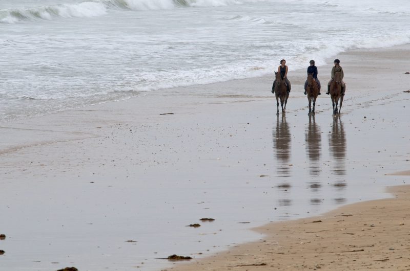 Balade à cheval sur l'île de Ré