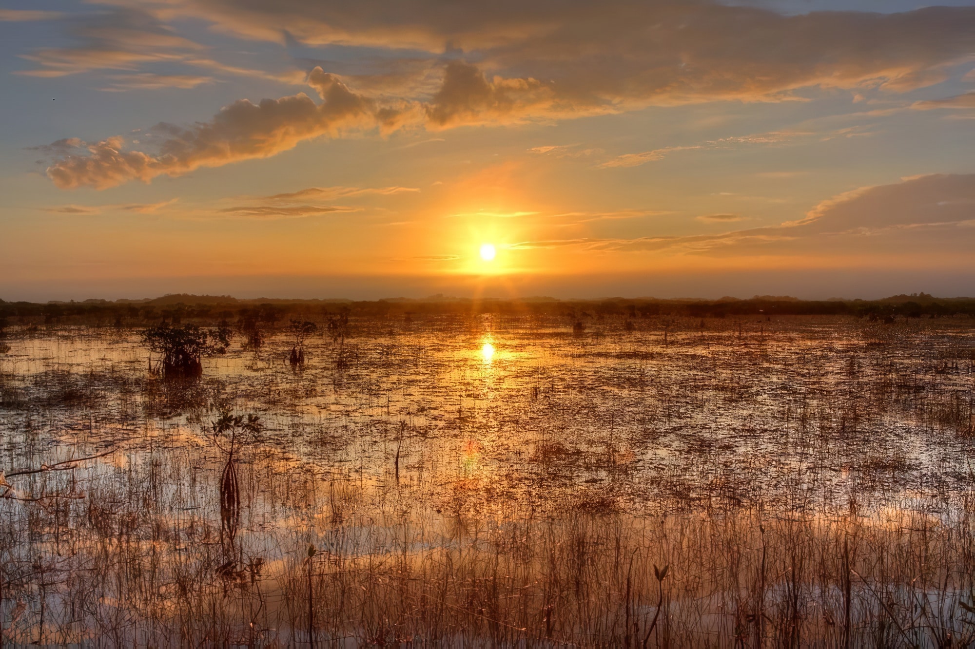 Visiter Les Everglades Depuis Naples