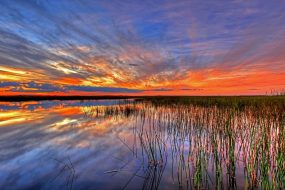 paysage du Parc National des Everglades en Floride