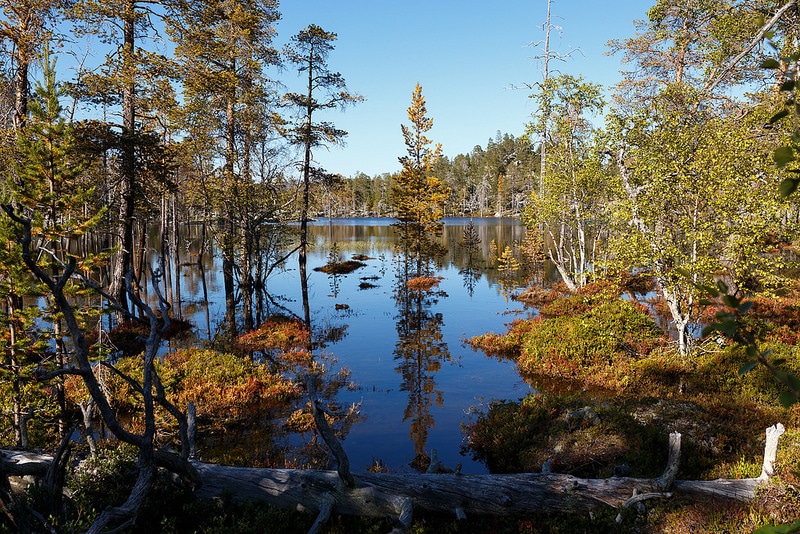 Femundsmarka National Park, Norway