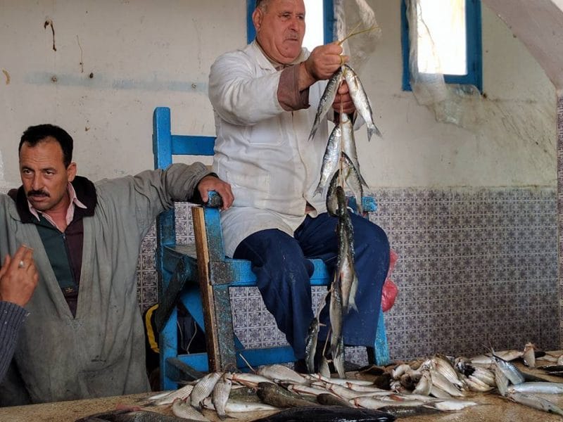 La criée aux poissons, Djerba