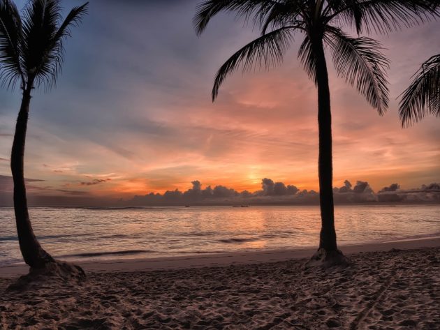 plage tropicale à Punta Cana avec palmiers et mer turquoise