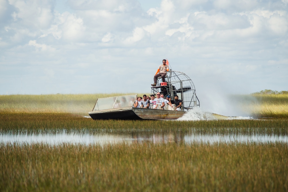 Tour en bateau dans les Everglades