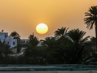 Visiter Djerba