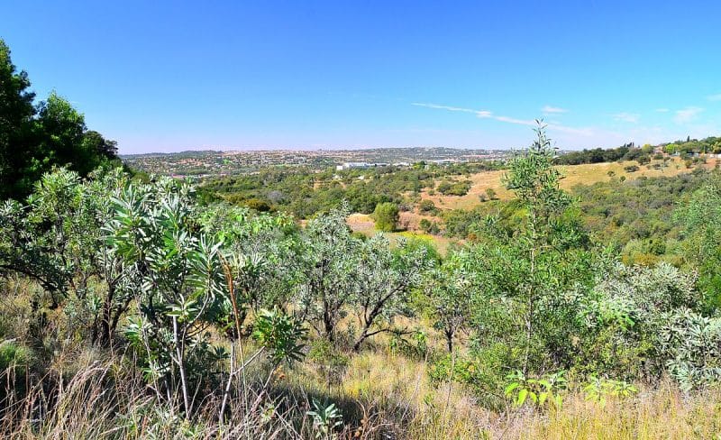 Moreleta Kloof Nature Reserve, Pretoria