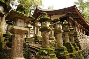 Les 10 choses incontournables à faire à Nara