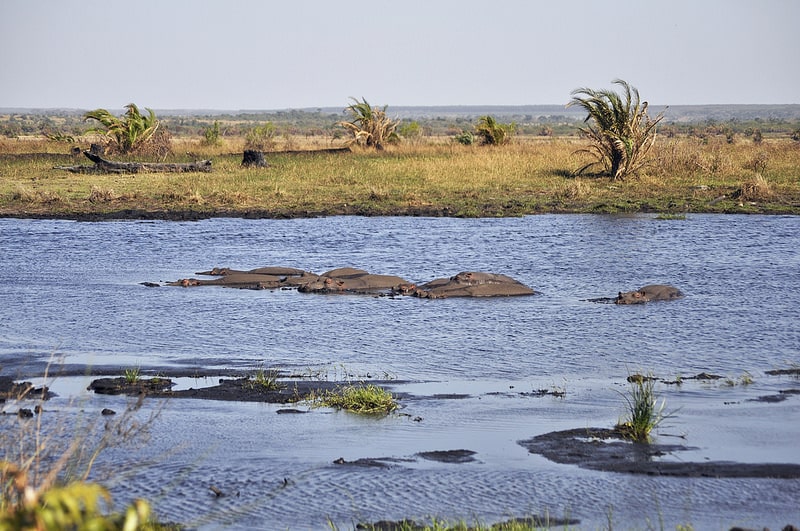 Simangaliso Wetland Park