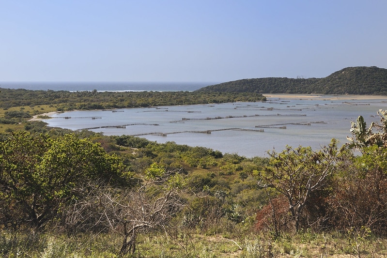 Kosi Bay 