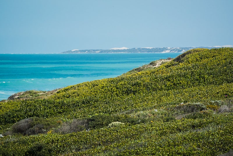 De Hoop Nature Reserve