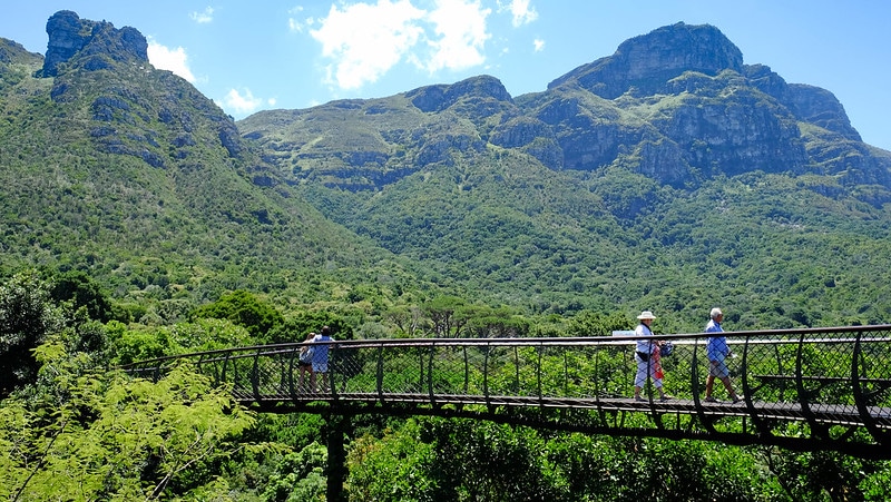 Kirstenbosch National Botanical Garden