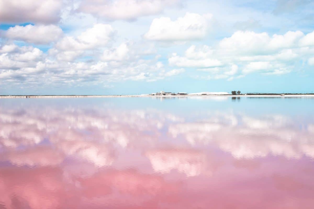 Le lagon rose du Yucatan