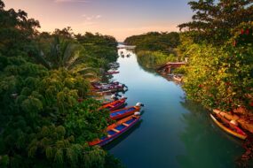 rivière White River en Jamaïque entourée de végétation luxuriante