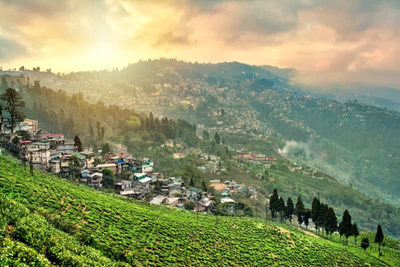 Darjeeling, Inde
