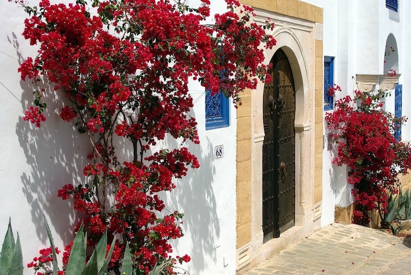 Sidi Bou Saïd