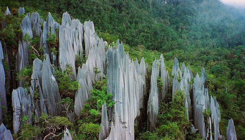 Gunung Mulu, Malaysia