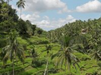 Assurance voyage pour l’Indonésie : notre guide complet