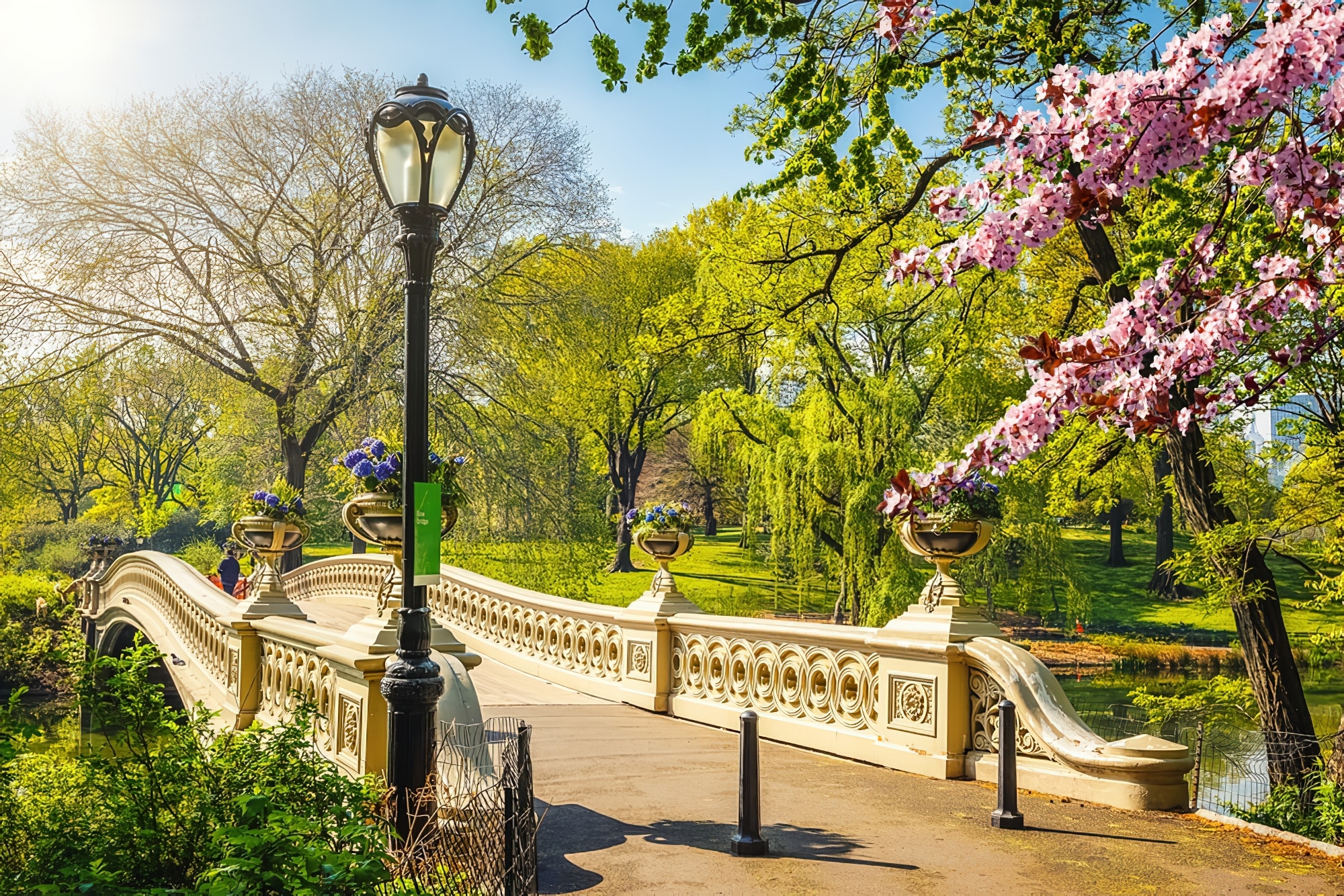 Central Park, New-York