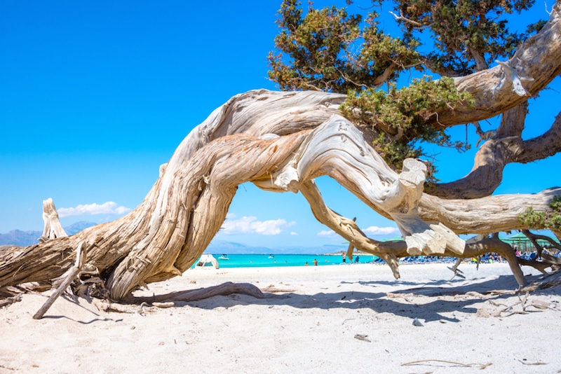 Chrissi Beach, Crète