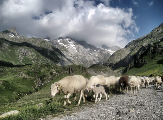 Les 9 plus beaux endroits à visiter dans le Parc National des Pyrénées